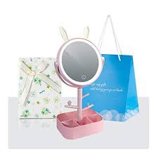 Plug the play curler, play flat iron or play blow dryer into the vanity and turn on the button for realistic styling. Makeup Mirror Led Light Storage Box Hd Beauty Vanity Mirror Princess Ninthavenue India
