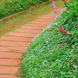 Maybe you would like to learn more about one of these? The 10 Best Sod Installation Services In Gainesville Ga 2020 Porch
