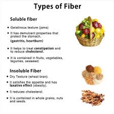 fiber can we see the forest for the trees big picture vegan