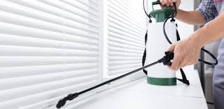 Maybe you would like to learn more about one of these? Pest Control Alexandria 571 559 7407 Green Pest Services Residential Pest Control