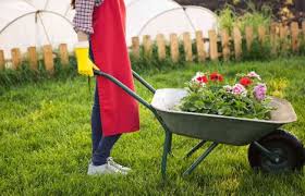 Jetzt irisch moos einfach bei douglas bestellen und 2 gratisproben sichern! Edible Landscaping For Beginners Best Pick Reports
