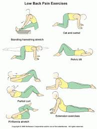 Pin On Exercise