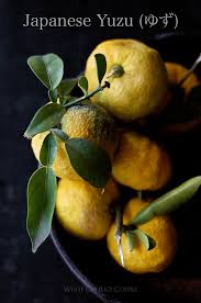 These fruits grow on overgrown shrubs or small trees, depending on the cultivar of yuzu. Japanese Yuzu Lemon What Is Yuzu Photos White On Rice Couple