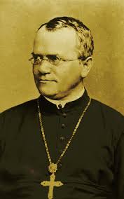 പയർവള്ളികളെ സ്നേഹിച്ച പാതിരി