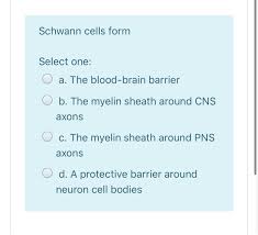 This is largely because certain types of tumors are more common in one gender or the other (for example, meningiomas are more common in women). Solved The Brain And Spinal Cord Make Up The Select One O Chegg Com