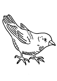Pin Di Malvorlagen