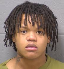 Will County Jail Roundup For May 27