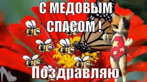 Музыкальное поздравление на медовый спас. Medovyj Spas Medovyj Spas Prishel Pozdravleniya I Pozhelaniya S Medovym Spasom Youtube