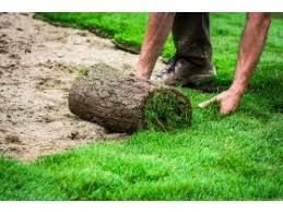 Irene Schroll Vachendorf