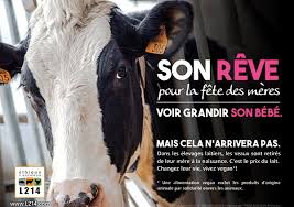 Check spelling or type a new query. 17 Raisons D Arreter Les Produits Laitiers Vegan Freestyle