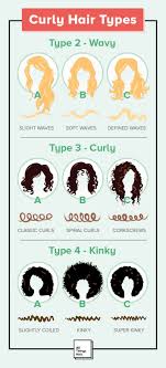 In order to grab attention of more and more people, you need to be aware of latest different types of hairstyles for girls. Curly Hair Types Infographic Learn The Differences All Things Hair Usa