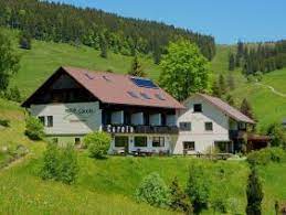 Unser haus bietet 3 ferienwohnungen in der größe zwischen 70 und 80 m². Ferienwohnungen Und Hauser Liebenswertes Todtnauberg Urlaub Im Schwarzwald