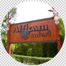 Maybe you would like to learn more about one of these? Africam Safari Estrella De Puebla Safari Park Parque Loro Puebla Png Clipart Africam Safari Amusement Park