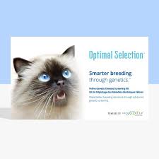 Let your local vet take a suitable sample or do it yourself with the aid of our free test kit. Optimal Selection Feline