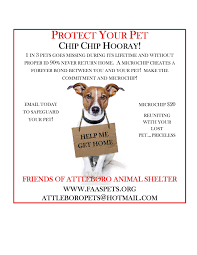 Chip Chip Hooray Flyer Design Messages Chips