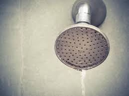 After air pollution, noise pollution is the second big problem that affects human and animal health. 6 Reasons For Low Water Pressure In The Shower Magnificent Plumbing Rooter