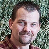 Shaun Hall Stout Obituary