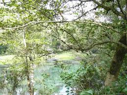 Here is a list of homes currenlty for sale in little river, sc. Pin On Arkansas Real Estate