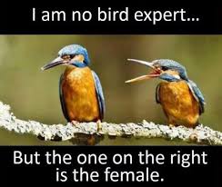 Check spelling or type a new query. These Hilarious Memes On Married Life Will Leave You In Splits