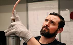 They really do coalesce and converge': How art transforms medicine at MU