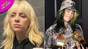 Who could've seen this coming: Billie Eilish S Boyfriend Matthew Vorce Blasted As Brutally Racist Tweets Resurface Mirror Online