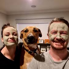 Great pyrenees love clay masks after grooming