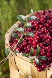 Spark It Like Scandinavia In 2020 Fruits And Veggies Fruit Scandinavian Food