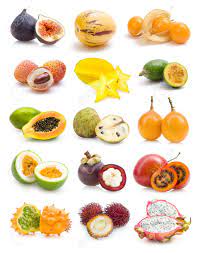 Exotische früchte bringen auch abwechslung und viel geschmack in die küche. Exotische Fruchte Sammlung Lizenzfreie Fotos Bilder Und Stock Fotografie Image 12063880