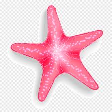 Psd, tamaño del archivo：9.5 mb, tiempo de carga：20/06/2019. Ilustracion De Estrellas De Mar Estrella De Mar Euclidean Pisaster Brevispinus Estrella De Mar Rosada Animales Feliz Cumpleanos Vector Imagenes Png Pngegg