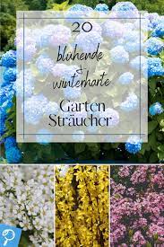 Ich würde mir eventuell einen plan vom garten machen, die himmelrichtungen eintragen und dann erst einmal die so genannten gerüstpflanzen setzen, d.h. Pin Auf Gartengestaltung