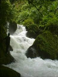 These sentences come from external sources and may not be accurate. Hutan Larangan Hulu Sungai Cibeet Wikipedia Bahasa Indonesia Ensiklopedia Bebas