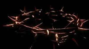 Crown Of Thorns Stock Footage ~ Royalty Free Stock Videos | Pond5