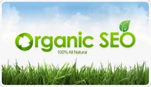 Image result for Organic search rankings