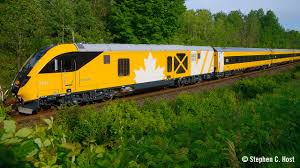 Image result for Dark Yellow Green 2024 Fleet