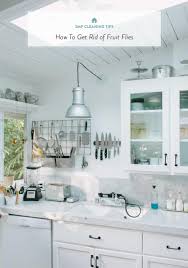 How to get rid of gnats in your kitchen. How To Get Rid Of Fruit Flies