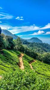 Lukisan pemandangan alam yang terlihat sederhana, pemandangan ini sangat indah dengan air. Gambar Pemandangan Alam Pedesaan Yang Indah