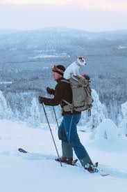 Jrt On A Backpack Hiking Skiing With Dog In Lapland Salla Kopek Hayvanlar Insan