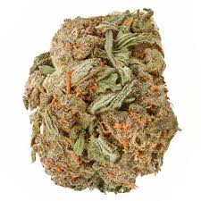 Upon hearing of his plans, matt and the rest of the students. Purple Haze Hemp Flower Hempton Farms