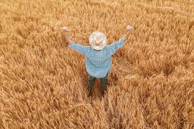 Dari kisah inspiratif pebisnis sukses nurhayati menjadikan produknya juga sukses dipasarkan ke luar negeri seperti malaysia. 5 Kisah Inspiratif Orang Sukses Di Usia 30 An Yang Bisa Kamu Contoh