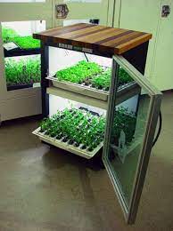 Kitchen Cultivatoropen Door Indoor Vegetable Gardening Indoor Farming Vegetable Garden