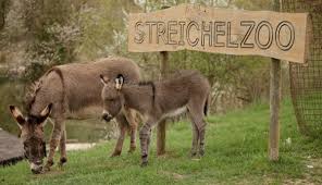 Open every calendar day from 9 a.m. Lochmuhle Eigeltingen Ein Cooler Freizeitpark In Deutschland