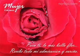 Postales Para El 8 De Marzo Dia Internacional De La Mujer