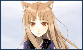Spice Wolf Vol 1 5 Light Novel Series Review Part 1 The Deal Taykobon