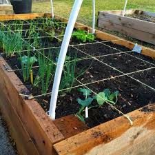 How To Start Raised Bed Vegetable Gardening For Beginners Slick Garden Vegetable Garden Raised Beds Square Foot Gardening Square Foot Gardening Layout