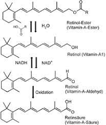Vitamin A Wikipedia