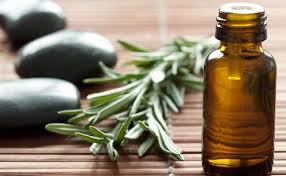 If you want to maintain the size of your rosemary plant, root prune it by slicing off a couple of inches of the roots from the bottom and sides of the root ball and replanting in the same pot. Rosemary Benefits Rosemary For Digestion Healthy Lungs Eyes Water Retention