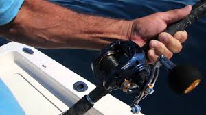 And the drag max to take advantage of it. Daiwa Lexa 400 Versus 30 Lbs Yellowtail Youtube