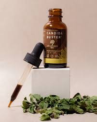 Image result for Buchnera candida