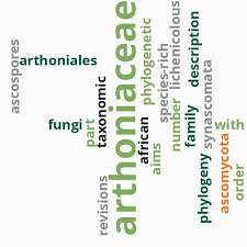 Image result for Ixora kalehensis