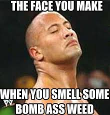 Best Weed Memes Funny Marijuana And Pot Pics 2021
